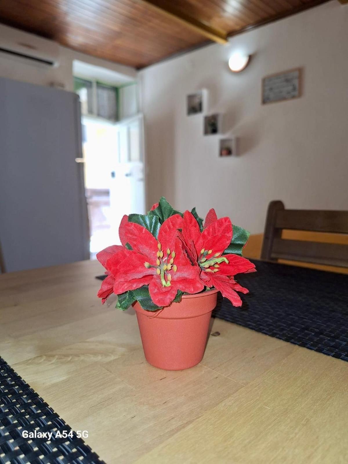 Gargallo Apartments Szirakúza Kültér fotó